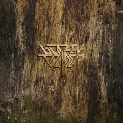 Blitzen Trapper - Furr (2XLP)