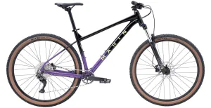 Bobcat Trail 4 2025