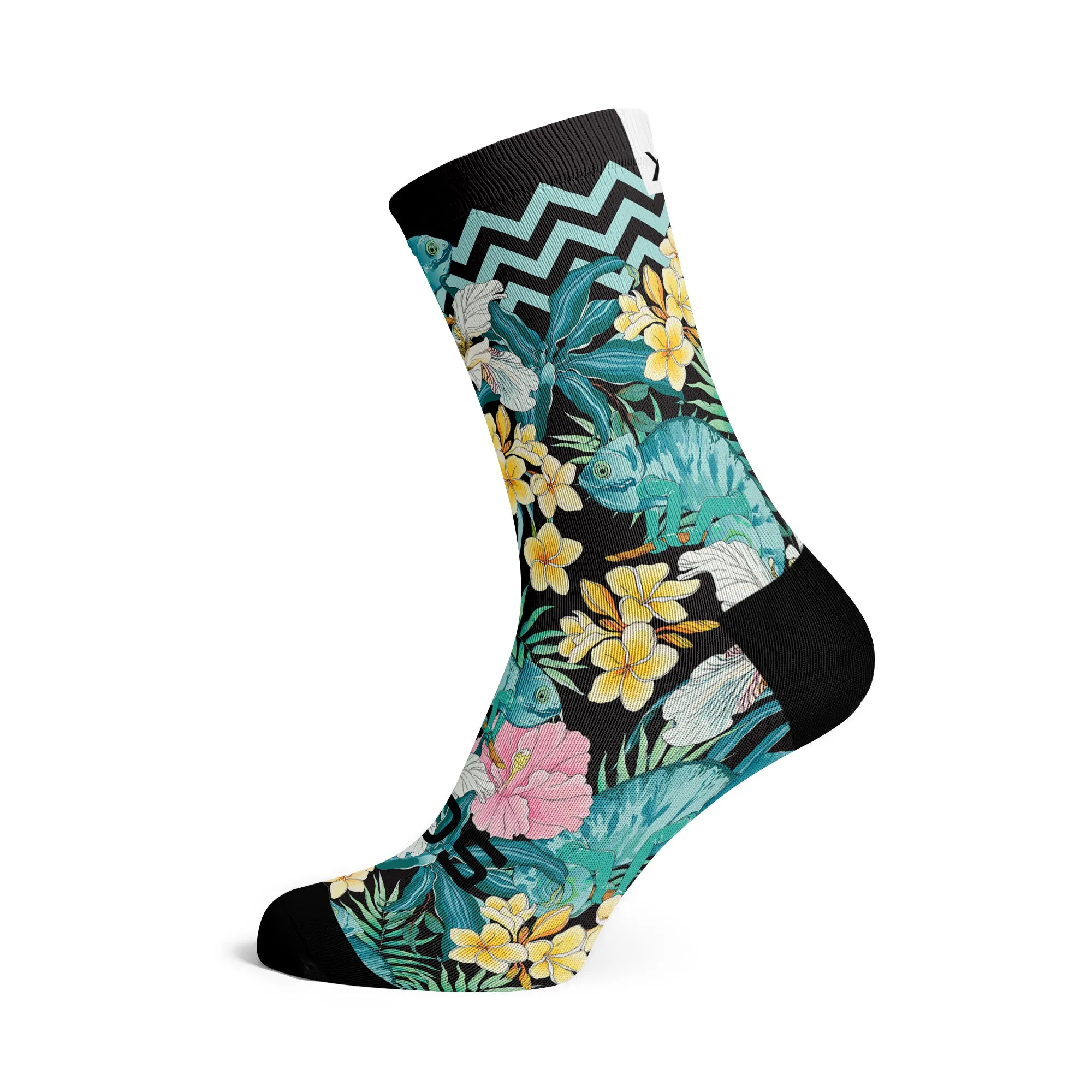 Chameleon Socks