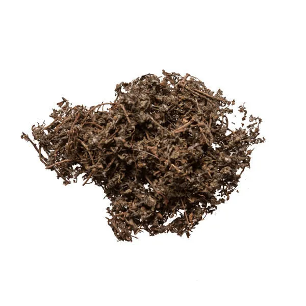 E Bu Shi Cao (Centipeda)