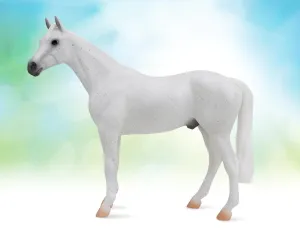 Fleabitten Grey Thoroughbred