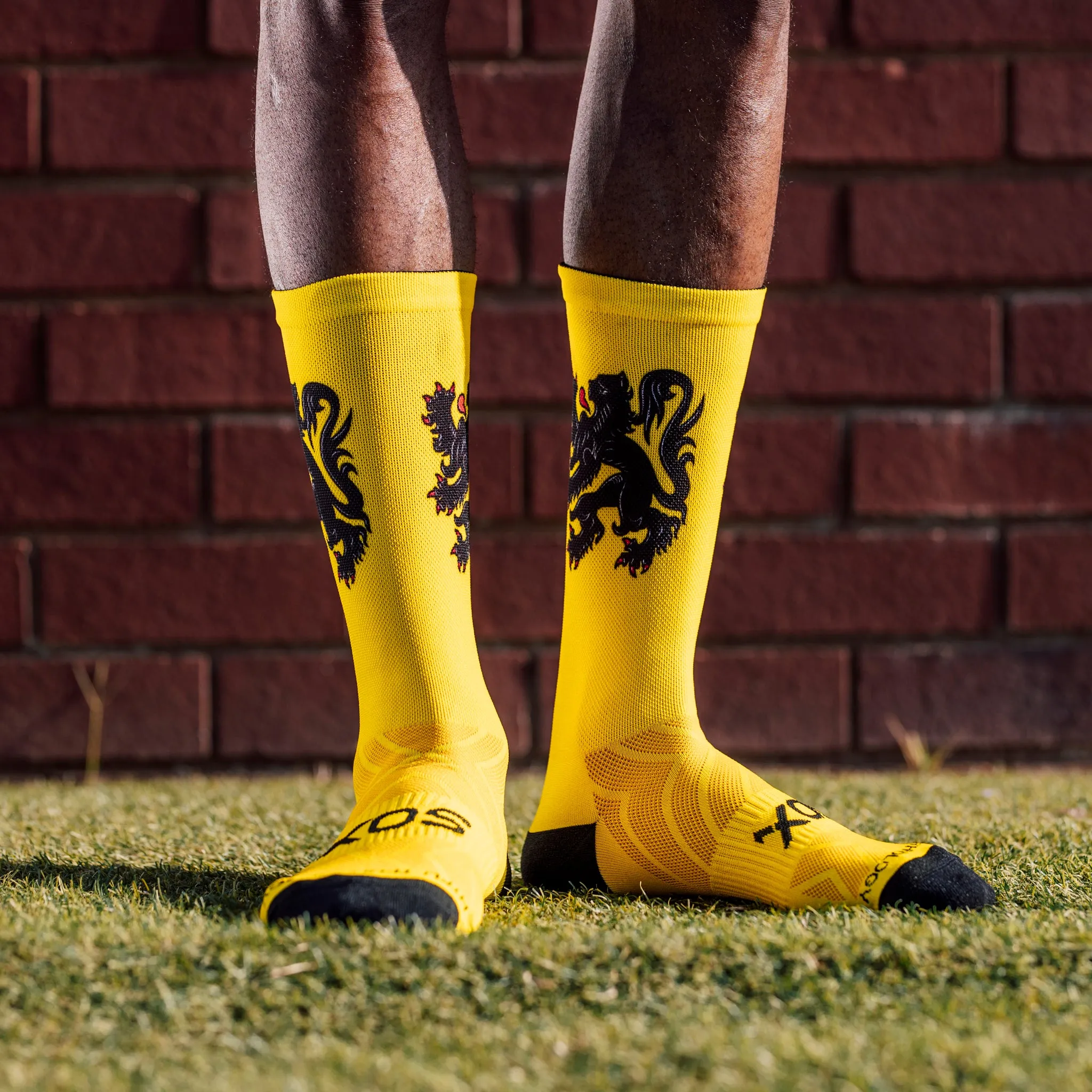 Flemish Lion Flag Socks