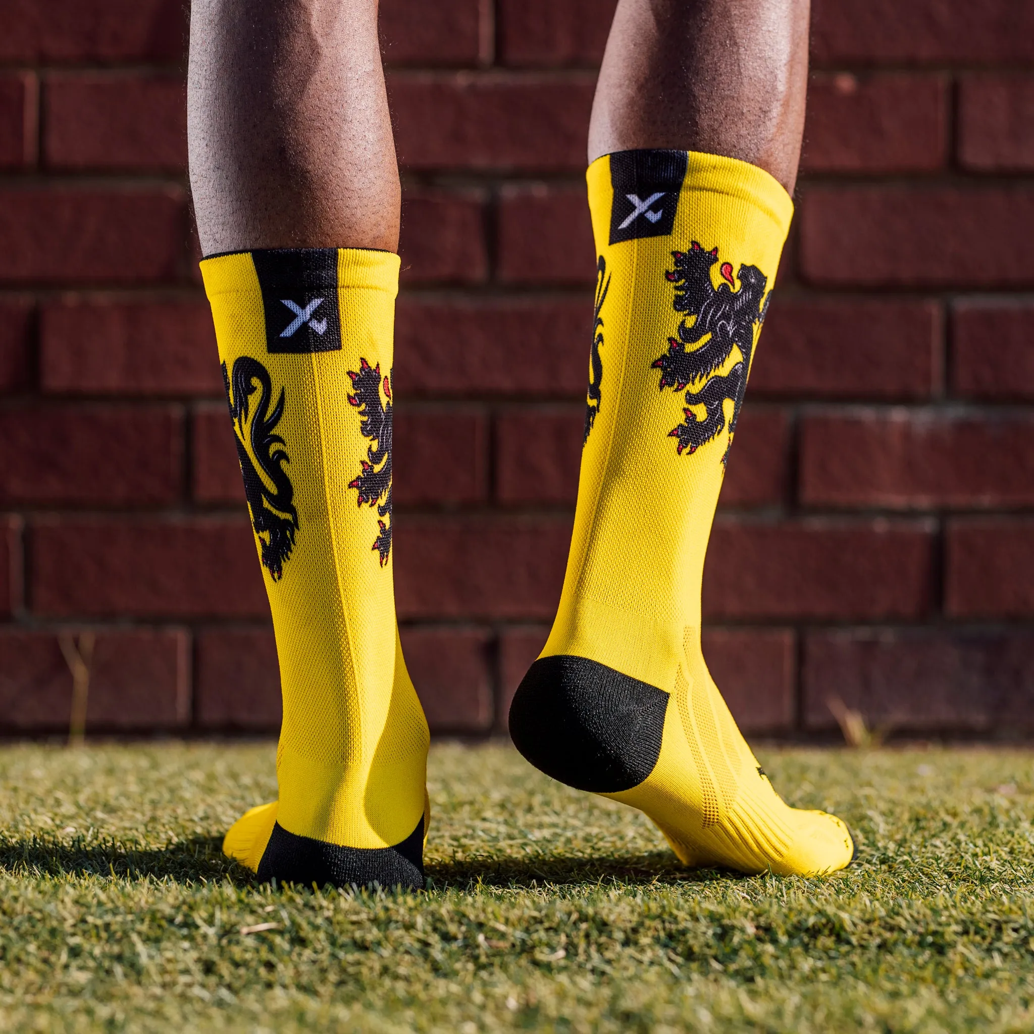Flemish Lion Flag Socks