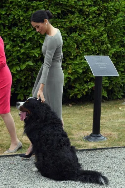 Grey Meghan Markle Long Sleeves Asymmetrical Prom Celebrity Dress Style Cocktail Outfit Visit to Ireland
