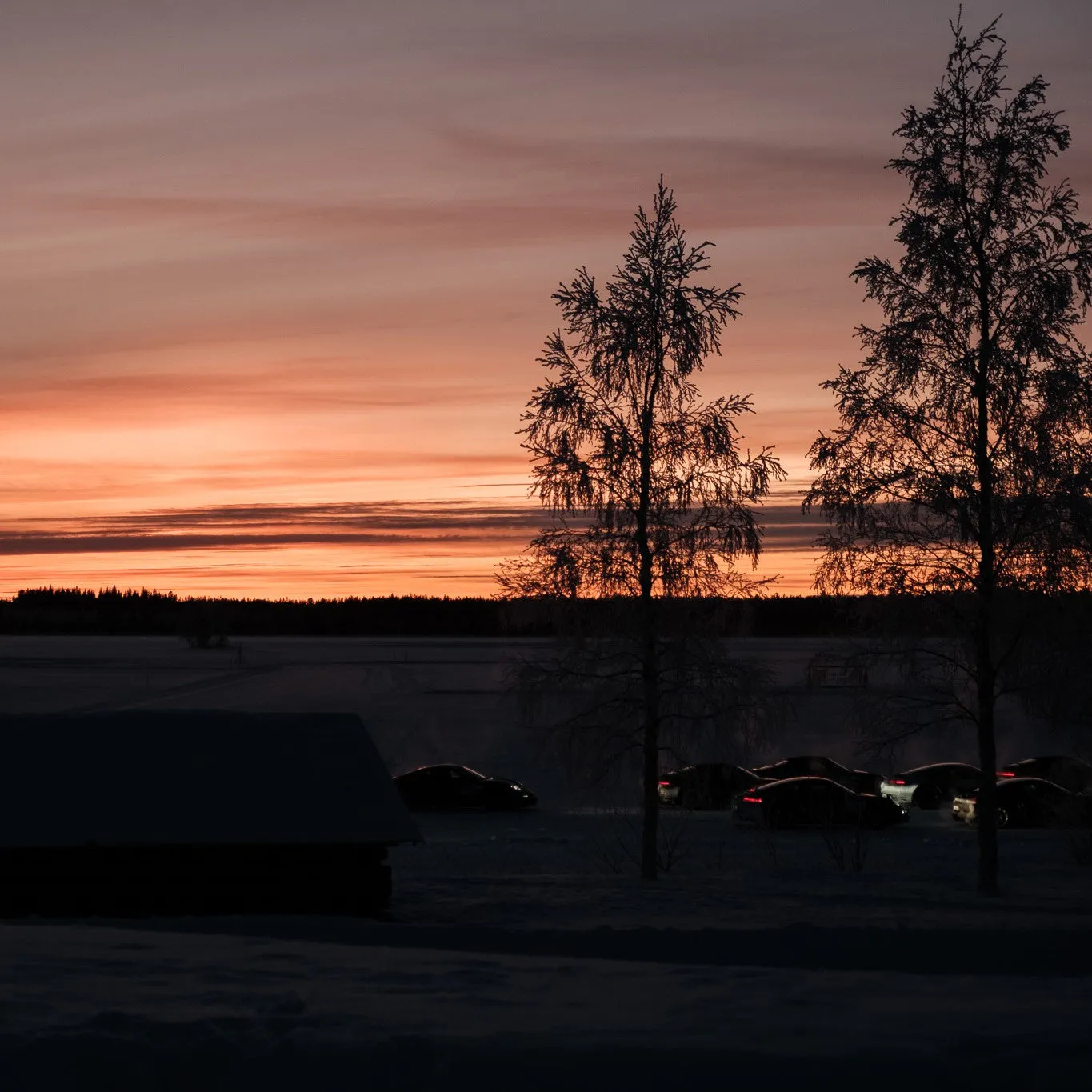 Ice Driving Experience Sweden from 02/01/2024 until 02/04/2024