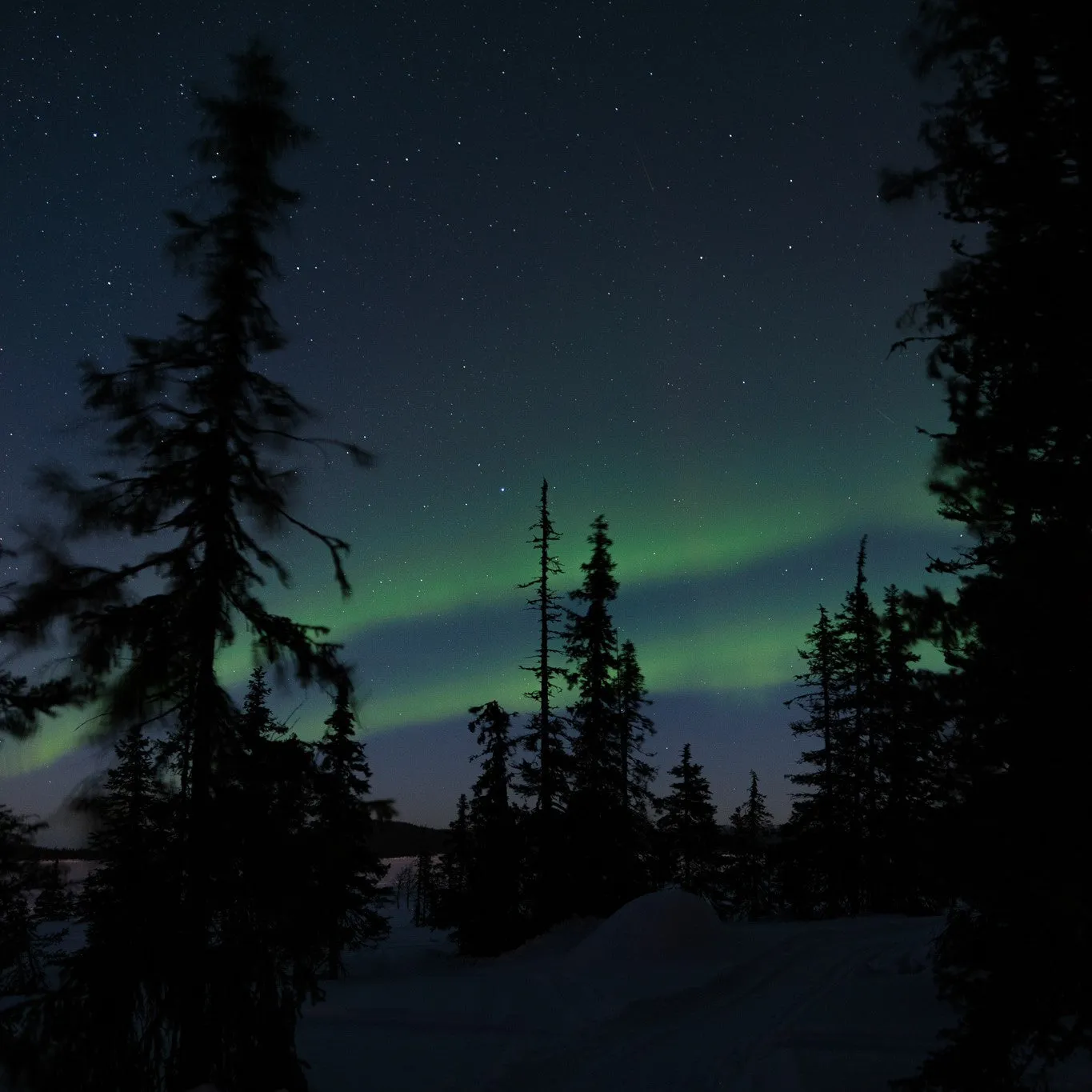 Ice Driving Experience Sweden from 02/01/2024 until 02/04/2024