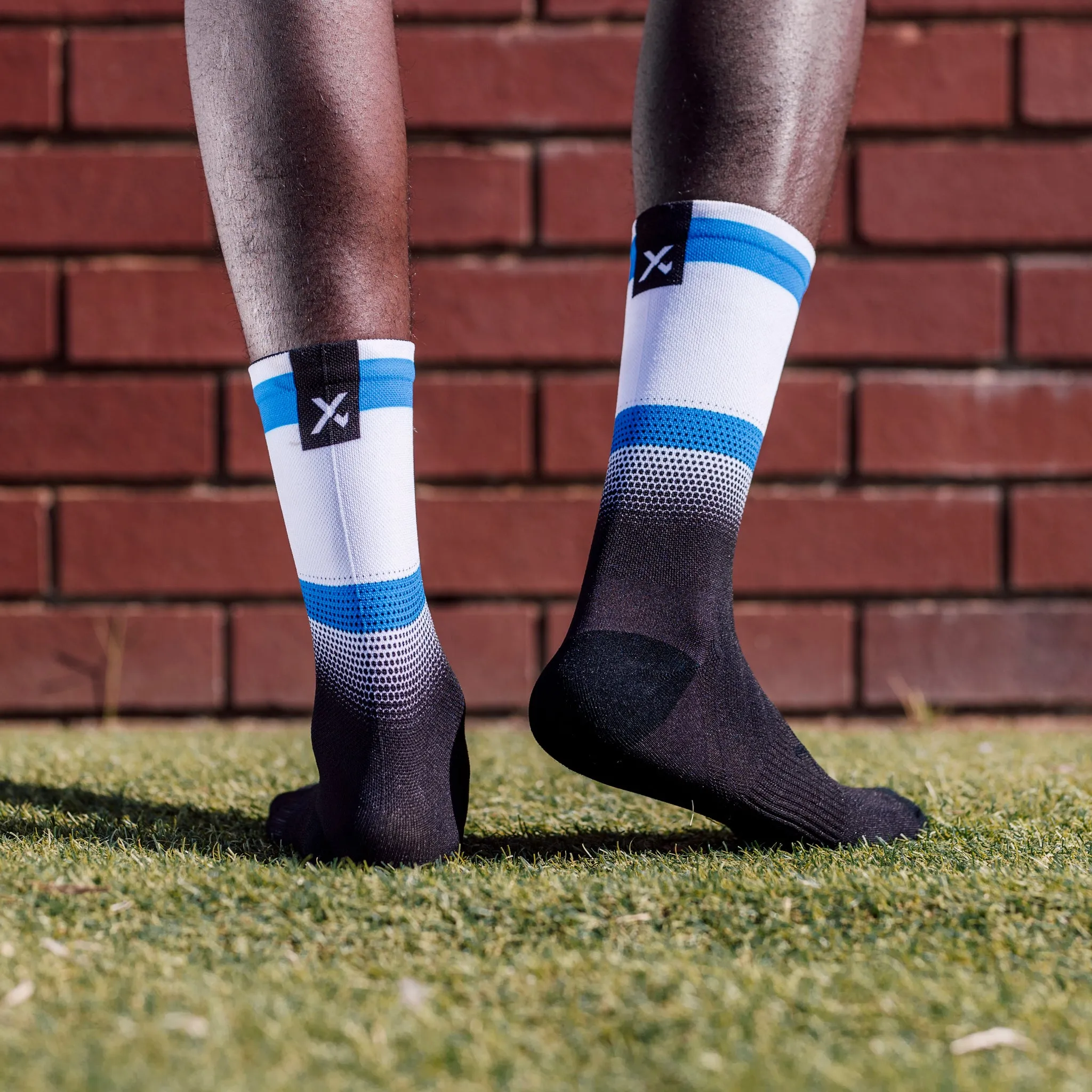 Israel Flag Socks
