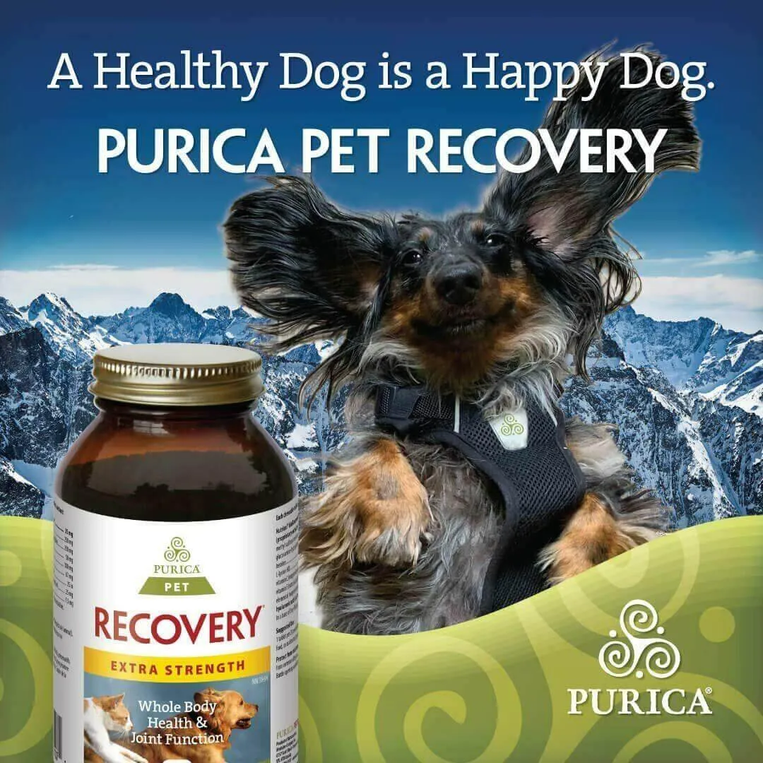 Purica Pet Recovery Extra Strength 120 Chewable Tablets - Small Animals