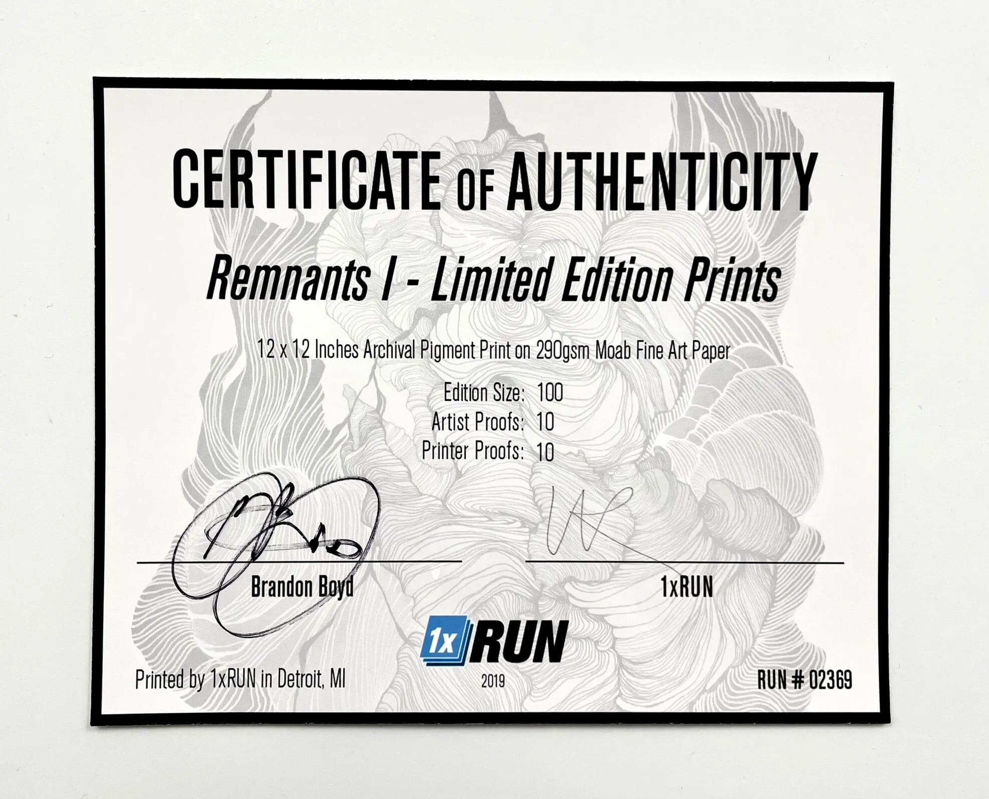 Remnants I (Framed)
