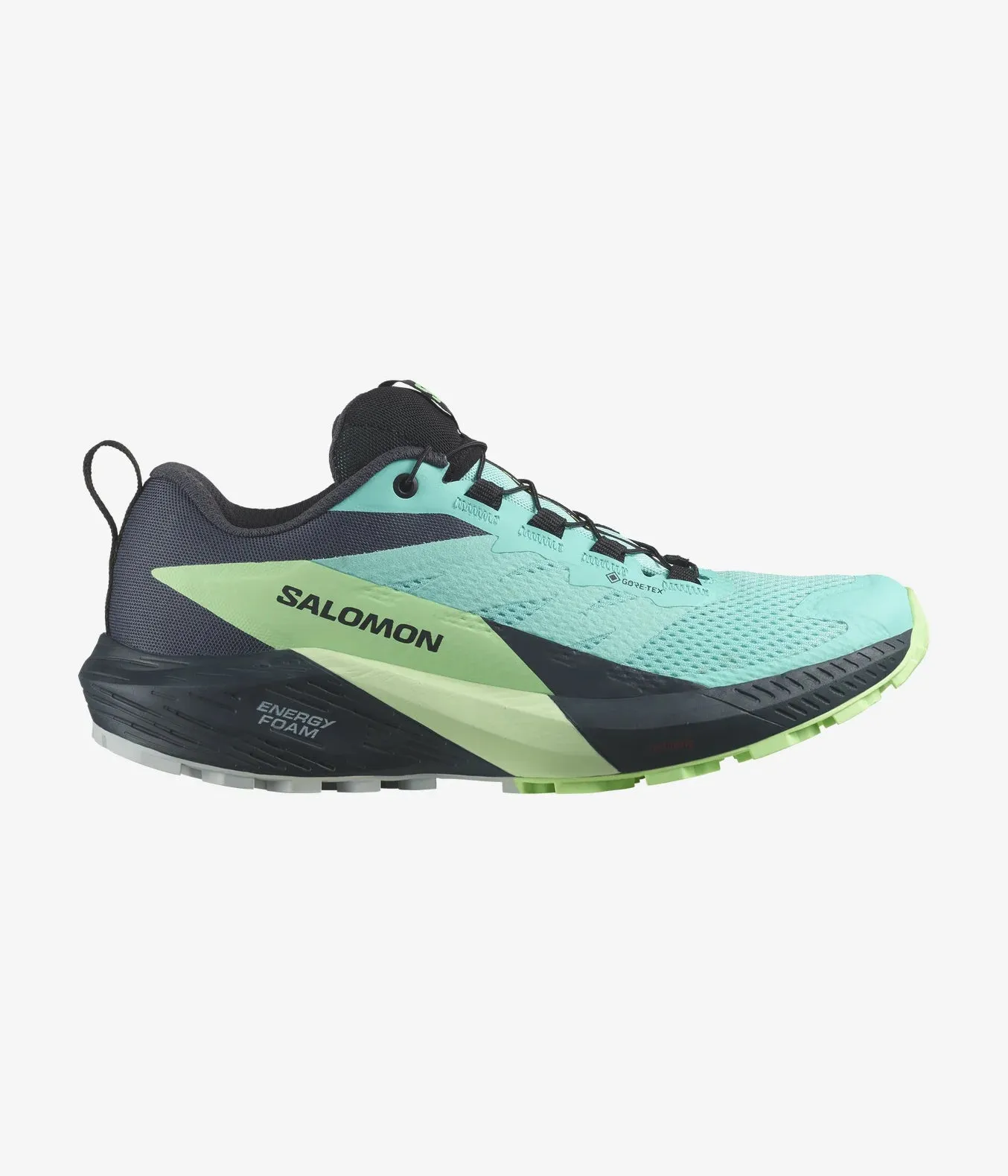 Sense Ride 5 Gore-Tex (Women's) - Past Season