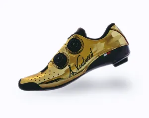 VR01 Pistard