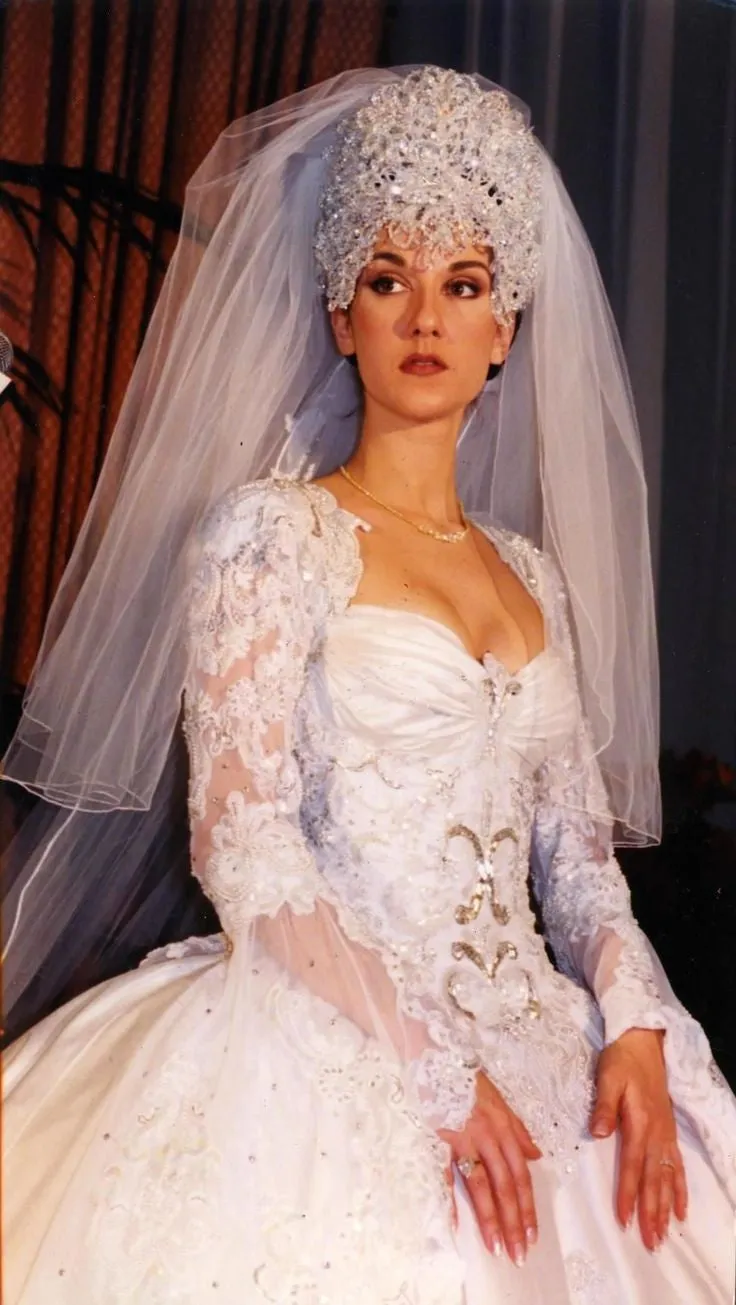 White Celine Dion Long Sleeve Lace Wedding Dress Best Celebrity Princess Bridal Gown For Sale